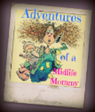 Adventures of a Midlife Mommy reviews SHMILY coins